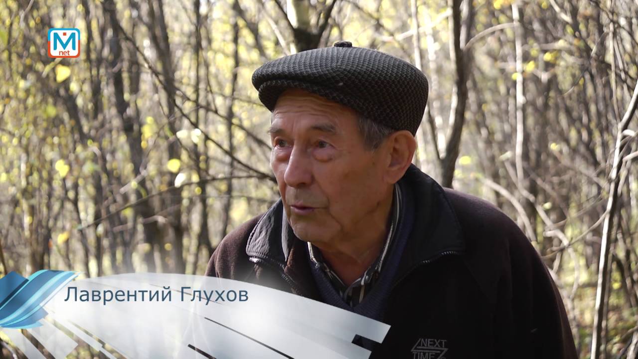 Телепередача междуреченск. Грибы в междуреченске.