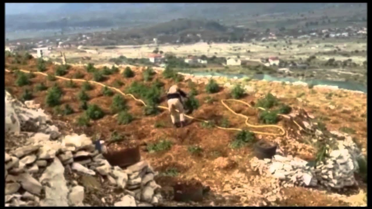 VIJON BETEJA PER LAZARATIN