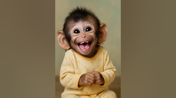 Can’t stop laughing at this monkey laugh ! 😂😂😂