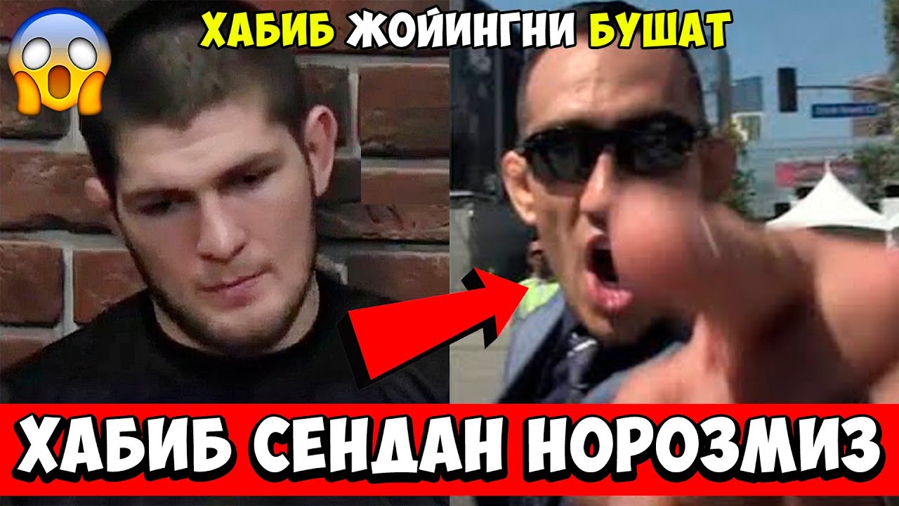 ХАБИБДАН ЖАНГЧИЛАР НОРОЗИ! ХАБИБ UFC ДАН ТЕЗРОҚ КЕТ...