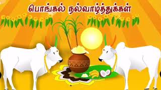 Pongal Wishes|Happy Pongal|பொங்கல் நல்வாழ்த்துகள்|தைப்பொங்கல்|உழவர் திருநாள்