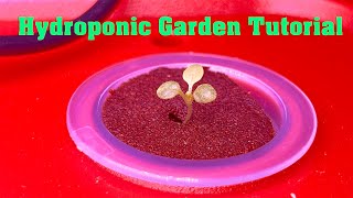 Hydroponic Garden Tutorial, Learn to grow plants indoors with this.