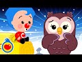 La Lechuza Se Equivoca  | Canciones Infantiles | Plim Plim