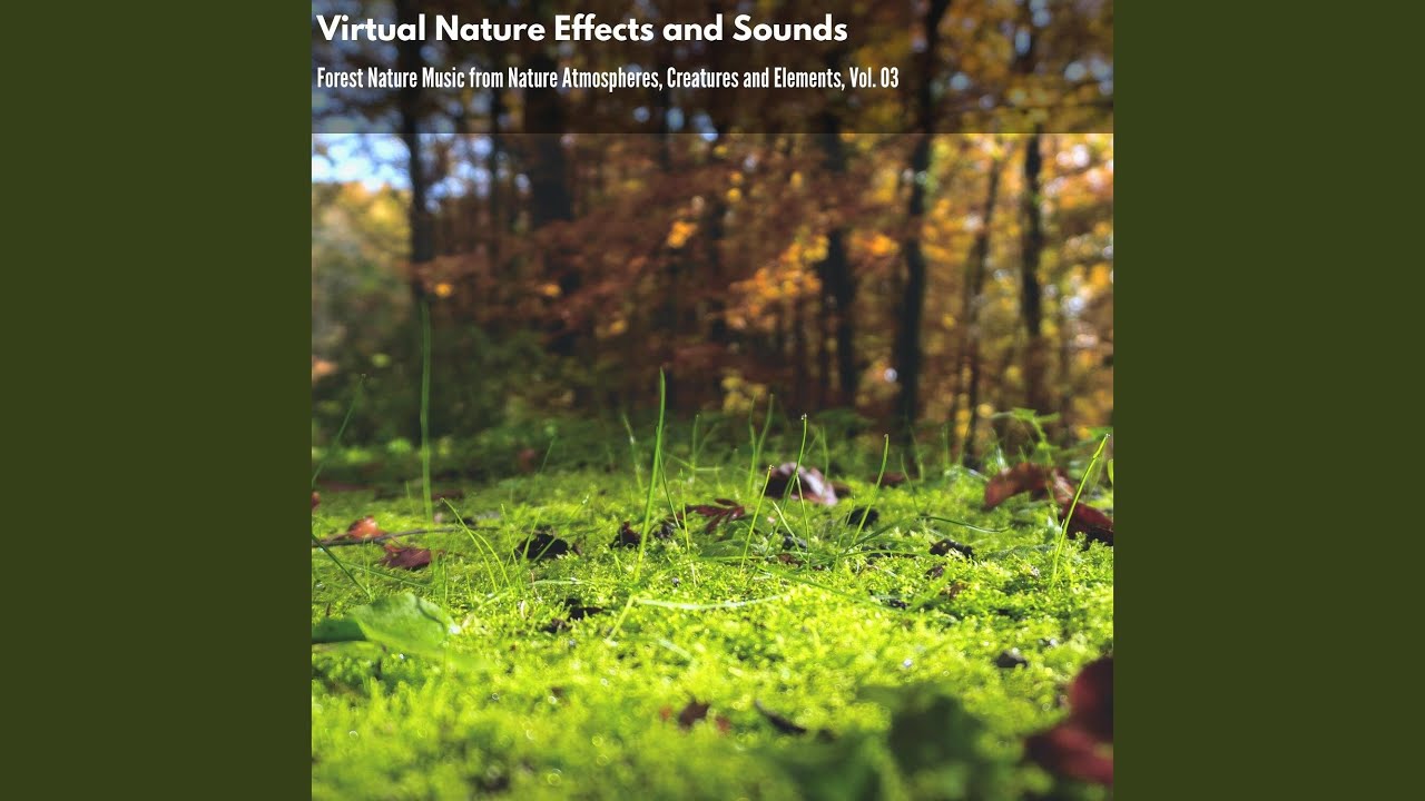 Impudent Small Birds Plurals