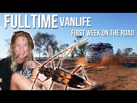 FULL TIME VAN LIFE - First week on the road