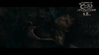 がんばる魔法動物たち!『ファンタスティック・ビーストとダンブルドアの秘密』本編映像