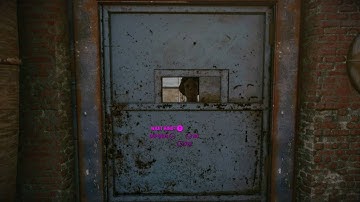 Fallout 4 Nvidia ShadowPlay testing