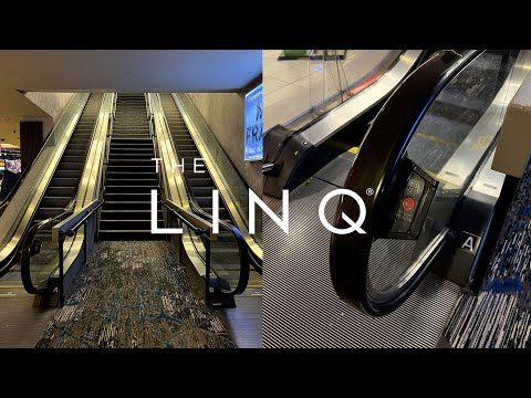 CASINO Y CRUZERO POR $20! l MYRTLE BEACH l BIG M CASINO