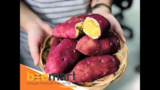 CÁCH LÀM BÁNH MÌ KHOAI LANG TÍM HÀN QUỐC - SWEET POTATO BREAD