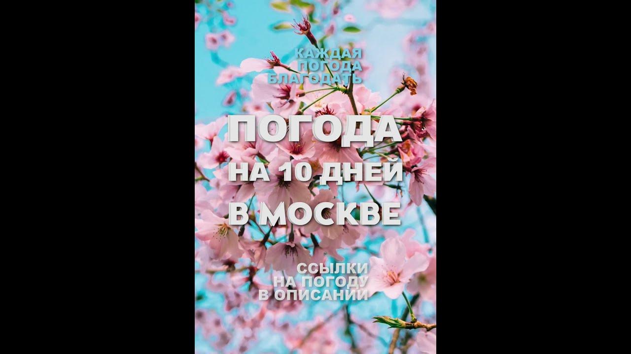 ПОГОДА на 10 дней в МОСКВЕ - YouTube