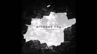 Avicii ft. Sandro Cavazza - Without You (Clean\/ Radio Edit) - OFFICIAL