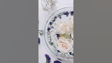 كلا إن الإنسان لا يطغى #تلاوة_هادئة #اكسبلور #المصحف #duet #قرآن #تلاوة_خاشعة #quran #قطر