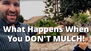 See What Happens When You DON