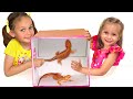 What's In The Box Challenge - Children Song with Maya and Mary