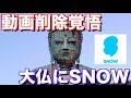 【検証】人以外にもSNOWは効くのか？