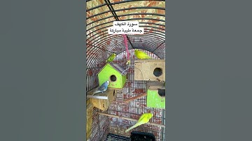 #سورة_الكهف #قران_كريم #المصحف #الجمعة