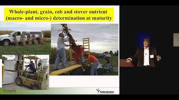 Adjusting Nutrient Management to Modern Corn Hybrids
