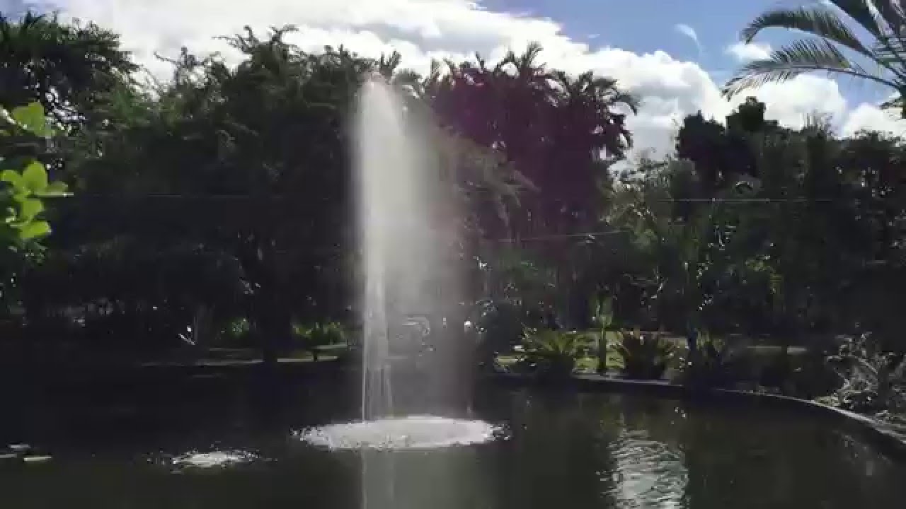 A quick view of the Botanical Gardens in South Beach