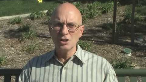 Imperfect Action I-Action Video by Jacques Violette