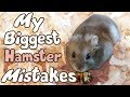 My Biggest Hamster Mistakes! | Munchie's Place