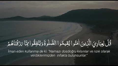 Surah İbrahim 31-34 Maher Al Muaiqly سورة ابراحيم ٣١-٣٤