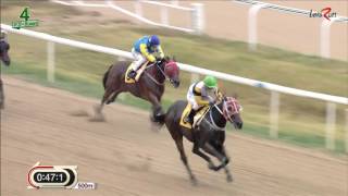 20161016 렛츠런파크 부산경남 4경주 1200m