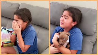New Puppy Surprise Compilation 2023 | Wholesome Surprise Moments