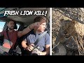 SPOTTING LIONS on our AFRICAN SAFARI! - Etosha, Namibia | Exploring With Cody