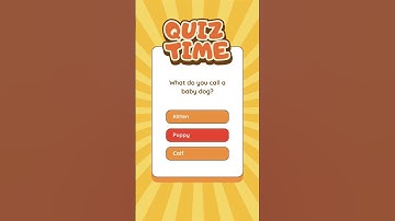 Kids Quiz with 3 Multiple Choice Questions | Kids Quiz | Quiz | Quiz for Toddlers | Fun Quiz #shorts