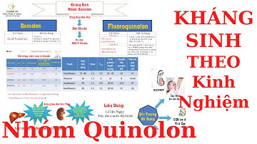 Kháng sinh theo kinh nghiệm -  Nhóm Quinolon | Dược Lý nhóm thuốc kháng sinh quinolon | Y Dược TV