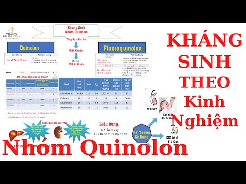 Video Kháng sinh theo kinh nghiệm - Nhóm Quinolon | Dược Lý... - youtube