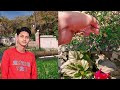 My farmhouse vlog  arslan vlogs