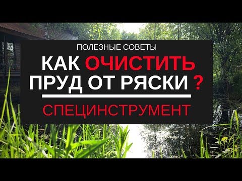 Как избавиться от ряски в пруду