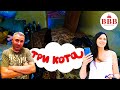 МУКИ выбора КВАРТИРЫ! Ч. 1. Квартира с кошками.