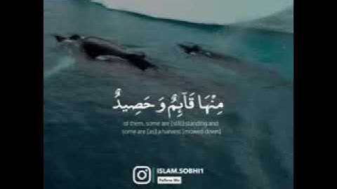 تلاوة خاشعة مريحة من سورة هُود   القارئ إسلام صبحي   ارح قلبك     240P 1