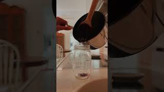 Homemade Blueberry Jam!🫐🍃🌞#traditionalwife #homemaker #homemade #homegrown #homemakingtips