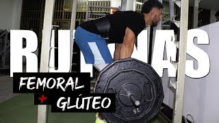 RUTINAS GYM - OBTÉN ESOS GLÚTEOS Y FEMORALES QUE TANTO DESEAS / PIERNAS GRANDES Y FUERTES