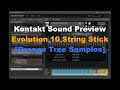 Kontakt Sound Preview Evolution 10 String Stick Orange Tree Samples