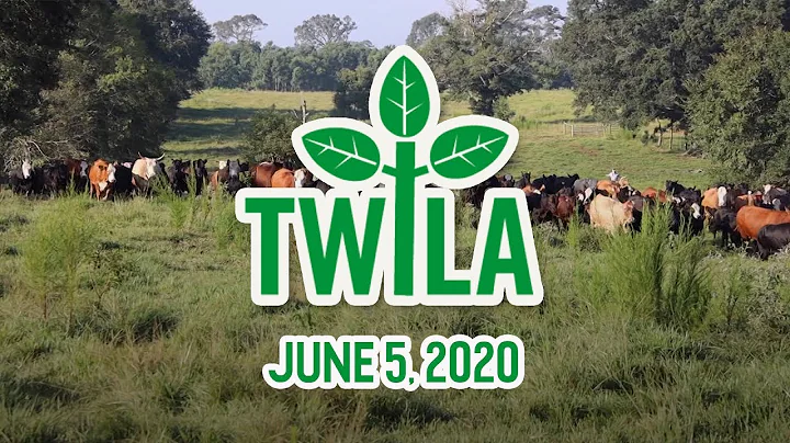 TWILA -- June 5, 2020