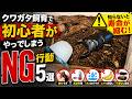 【知らないと寿命を縮めてしまう】クワガタ飼育で初心者がやってしまうNG行動５選！