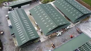 350-Unit Dairy Cubicle System - Twin Shed Layout with Calving Facilities