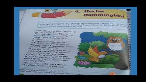 4.Hector Hummingbird  4th std   English