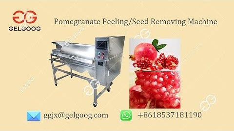 Pomegranate Peeling Machine / Pomegranate Seed Removal Machine Video