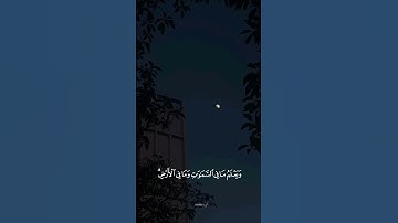 تلاوة من سورة آل عمران #القرآن_الكريم #اسلام_صبحي  🤍