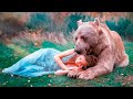 Всем селом плакали, когда узнали, как медведь помог влюбленной паре обрести свое счастье!