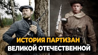 История Партизанского Движения В Годы Великой Отечественной Войны