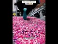 原来黑胶唱片是这样制作出来的