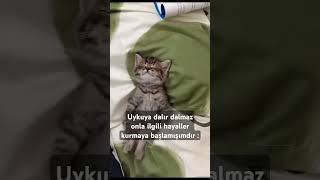 Günümde De Gecemde De Uykumda Da Hep Sen Varsın 💘🐯 Resimi