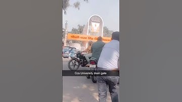 TC, Migration certificate ka leya ccs University kaisa jaye🤷 #ccsu #ccsuniversitymeerut #meerut