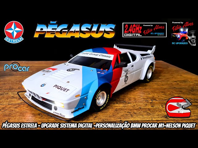 PEGASUS STAR VERSION BMW M1 PROCAR NELSON PIQUET - AUTOMODEL
